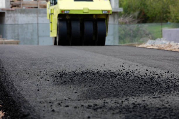 Best Driveway Paving Contractor  in Darlington, SC