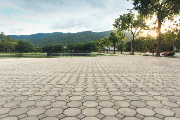 Best Permeable Paver Driveway  in Darlington, SC
